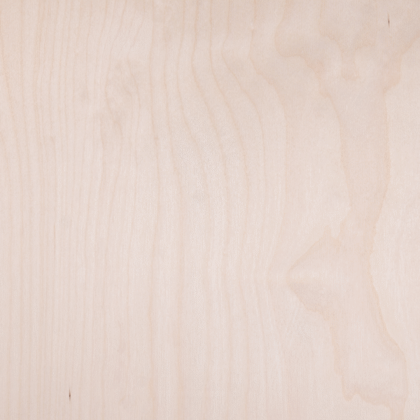 Birch Plywood