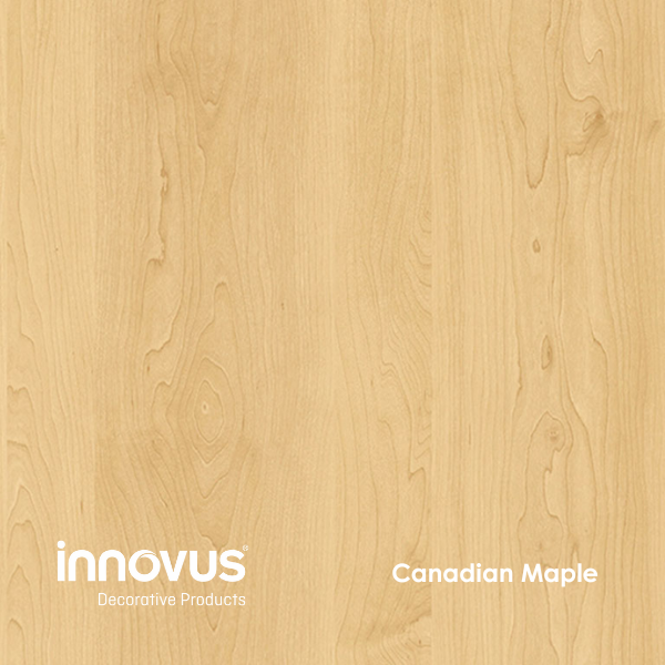 Canadian Maple – Innovus Melamine Faced Chipboard