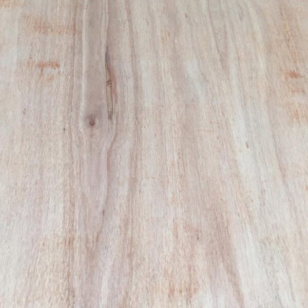 Pine Ply BB